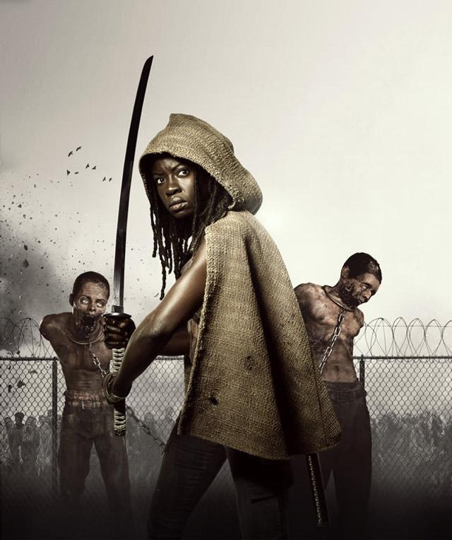 michonne the walking dead t3