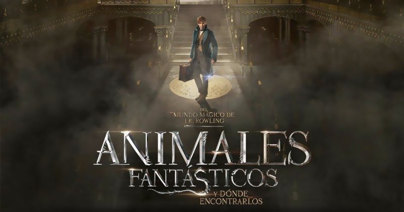 Animales Fantásticos' es el estreno del año - Noticias de cine