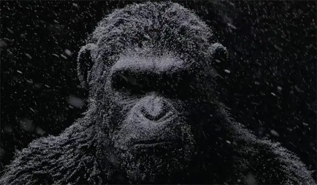 trailer internacional war for the planet of the apes. La guerra del El planeta de los simios