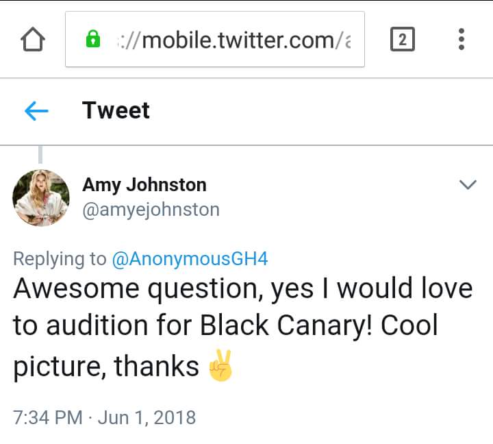 Amy Johnston quiere ser Black Canary (Canario Negro) en Aves de Presa (Birds of Prey)