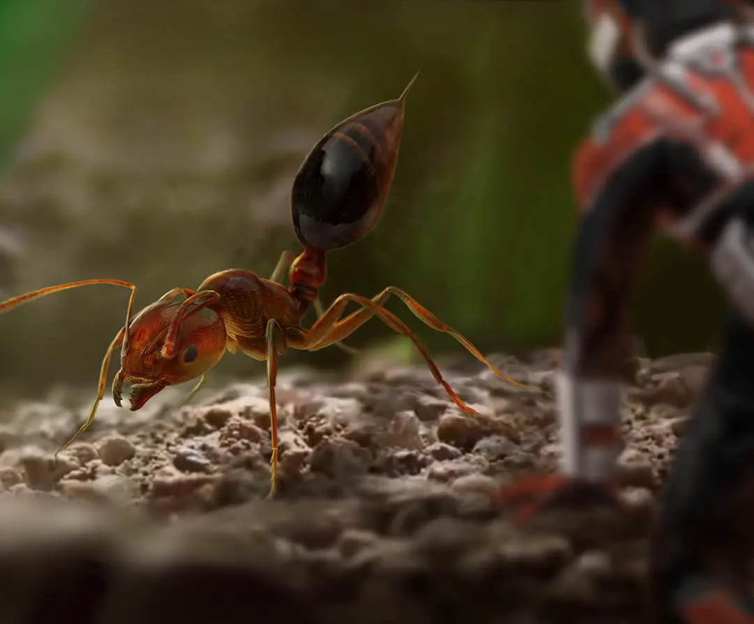 concept art ant-man