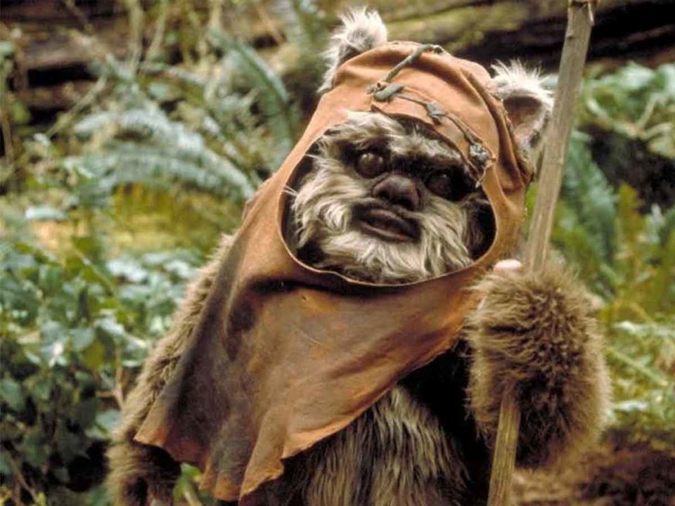 ¿alguna vez te has preguntado cómo es un ewok sin piel?