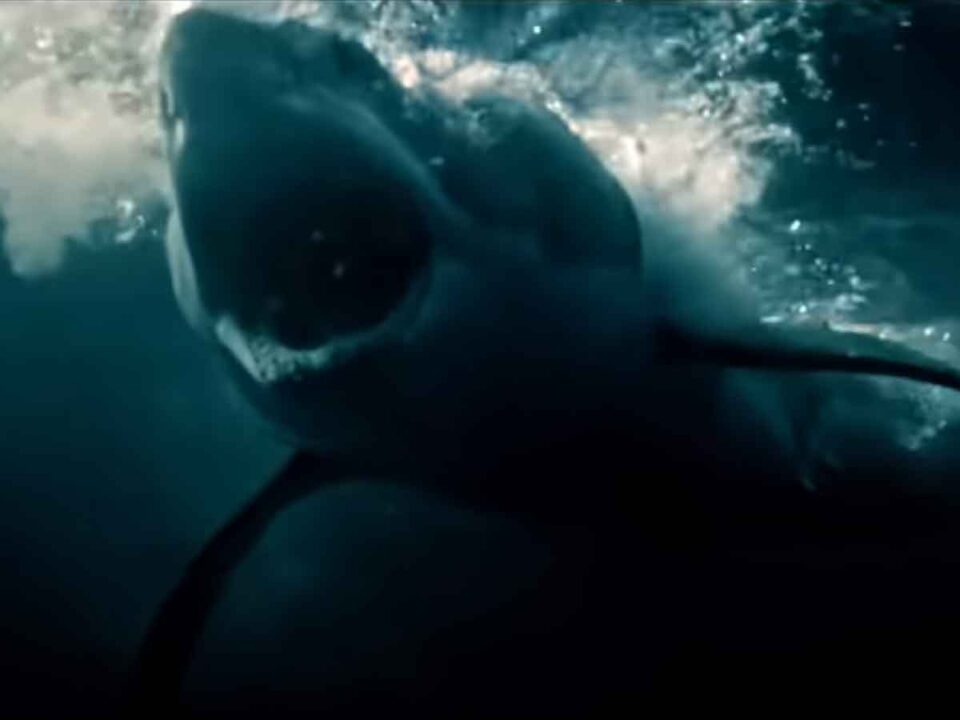 terrorífico tráiler de great white (2021) ¡teme al gran tiburón blanco!