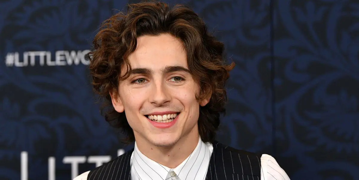 la película biográfica de timothée chalamet sobre bob dylan es un crossover con otra