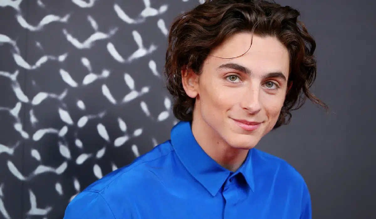 Timothée Chalamet Weighs In On Spider-Man: No Way Home - Bullfrag