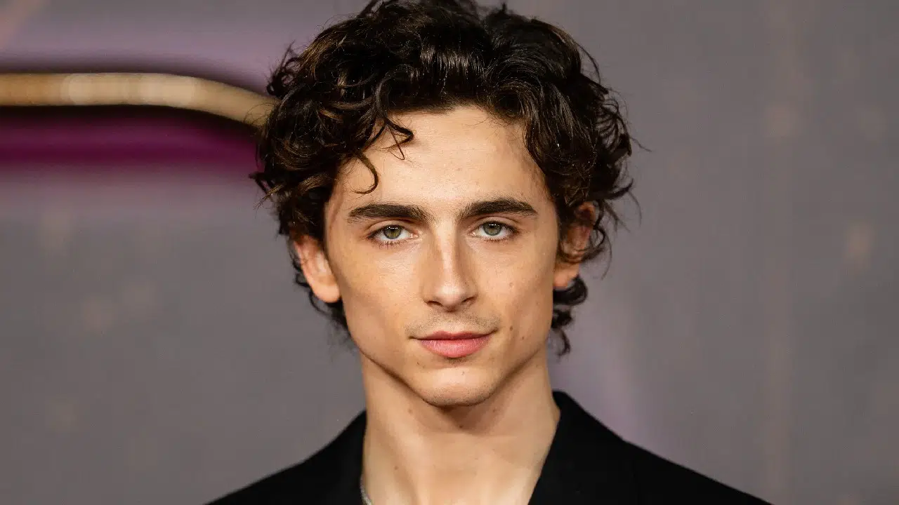 timothée chalamet personalizaba y vendía mandos de xbox 360