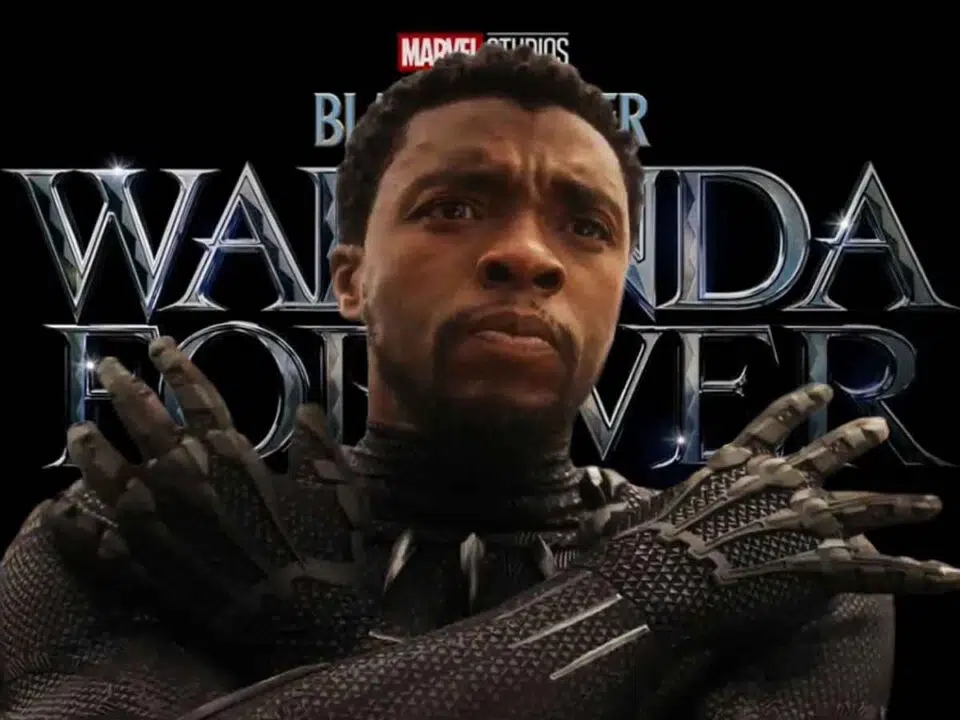 Black Panther: Wakanda Forever Chadwick Boseman T'Challa Marvel Studios
