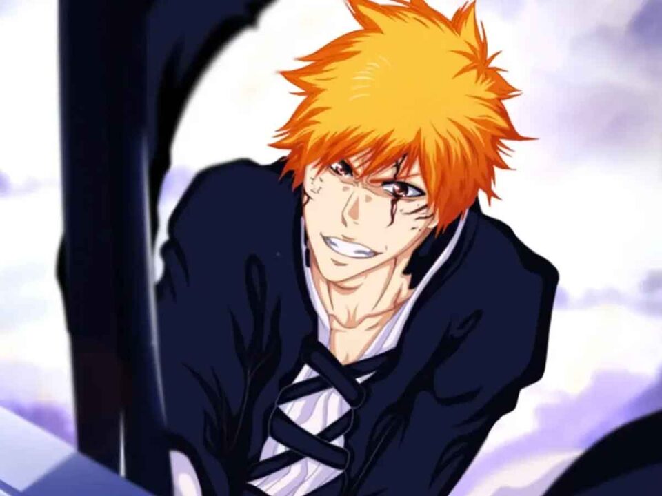 bleach anime manga