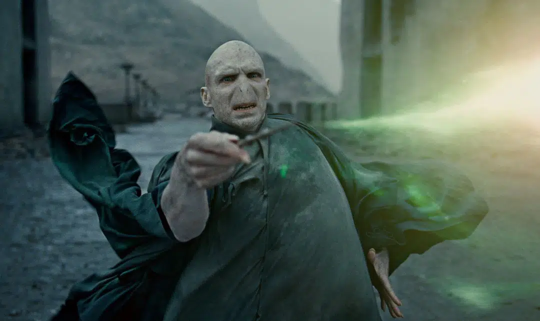 Voldemort y su único miedo