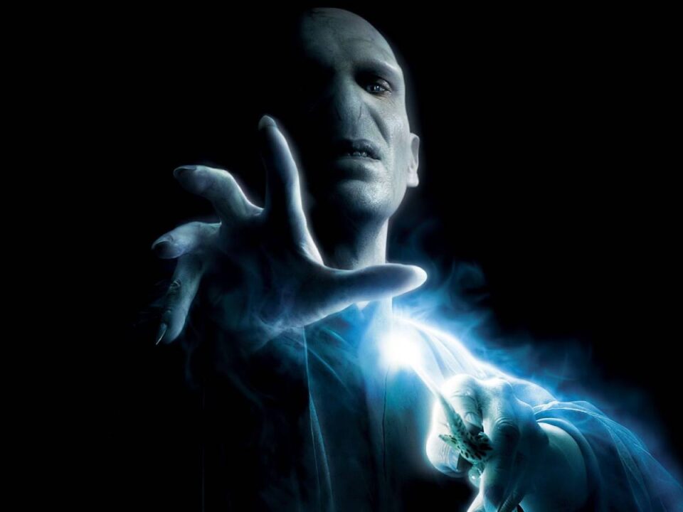 lord voldemort en harry potter