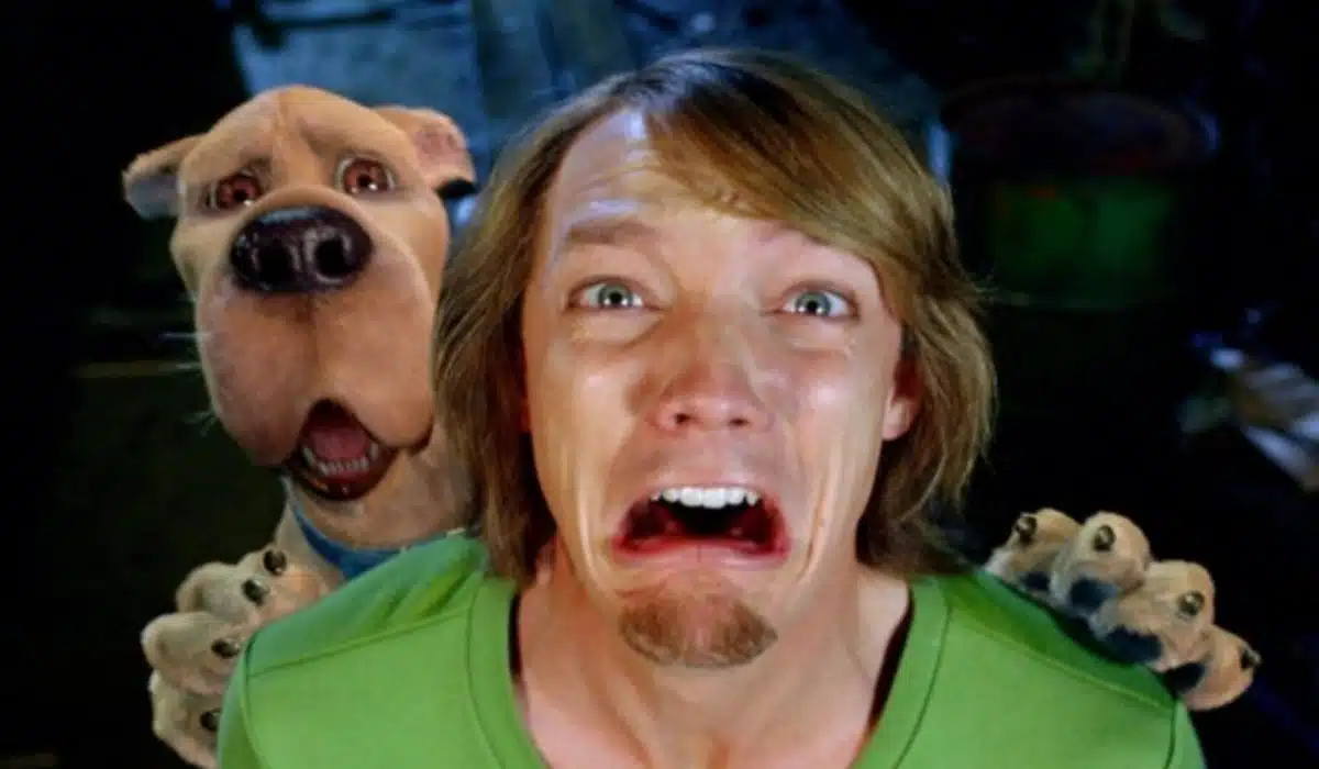 Matthew Lillard como Shaggy en Scooby-Doo