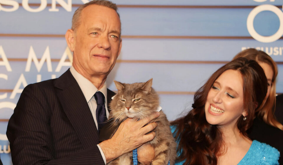 tom hanks y mariana treviño - cine para gatos