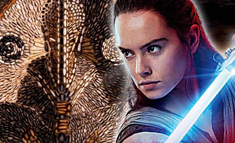 la teoría de rey y el primer jedi de star wars