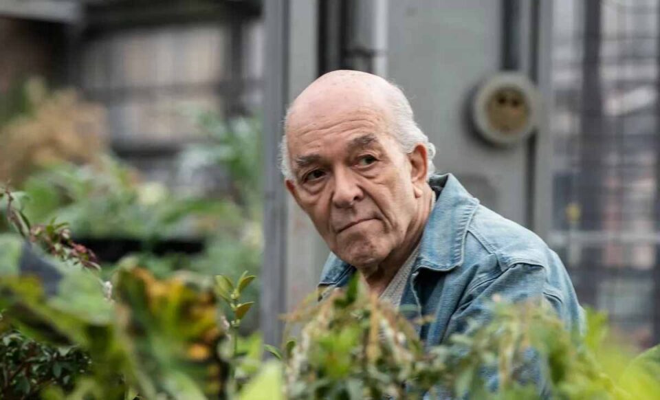 el actor mark margolis