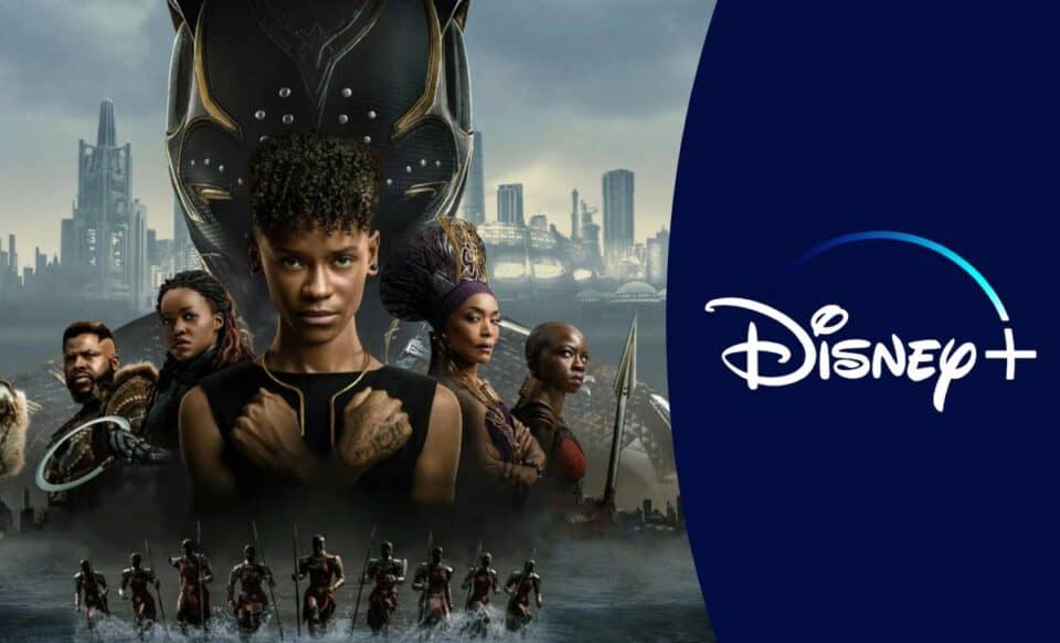 Black Panther en Disney+ (Marvel Studios)
