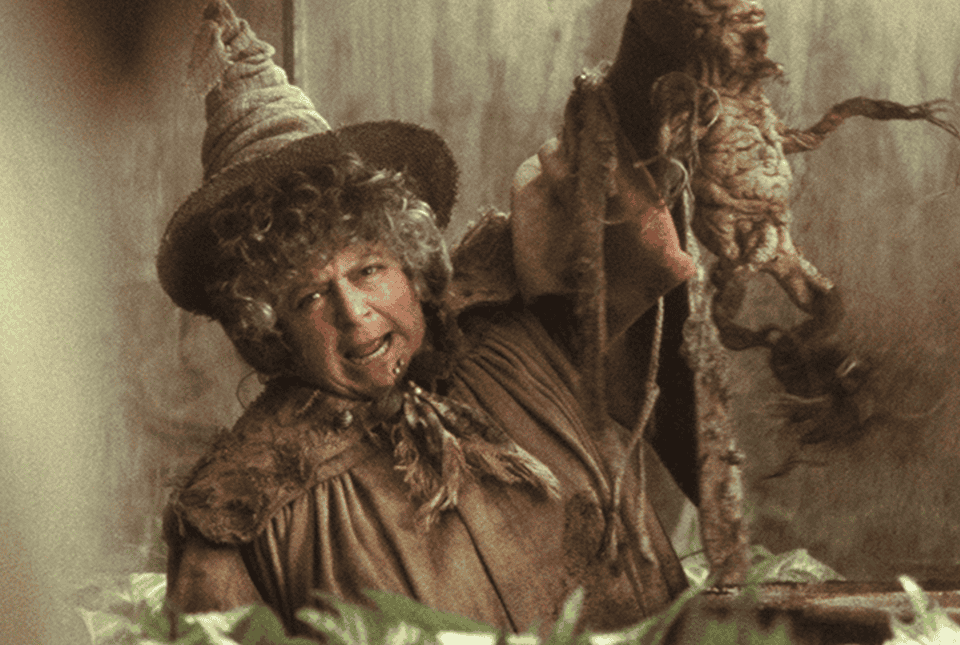 miriam margolyes vuelve a criticar las películas de harry potter