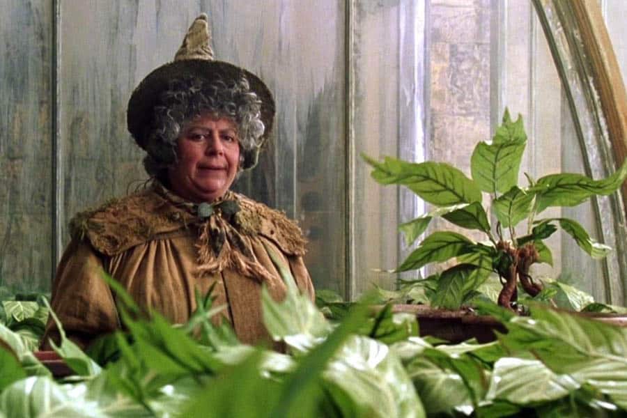 miriam margolyes vuelve a criticar las películas de harry potter