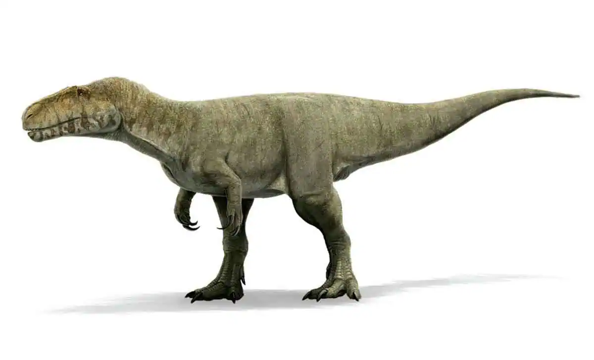 Megalosaurus dinosaurio Jurassic World 4