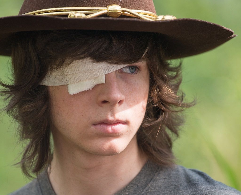 the walking dead carl grimmes