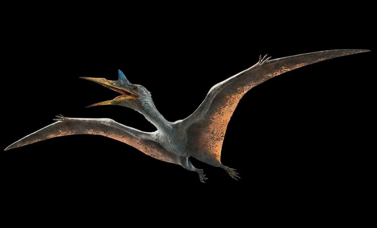 quetzalcoatlus jurassic world rebirth