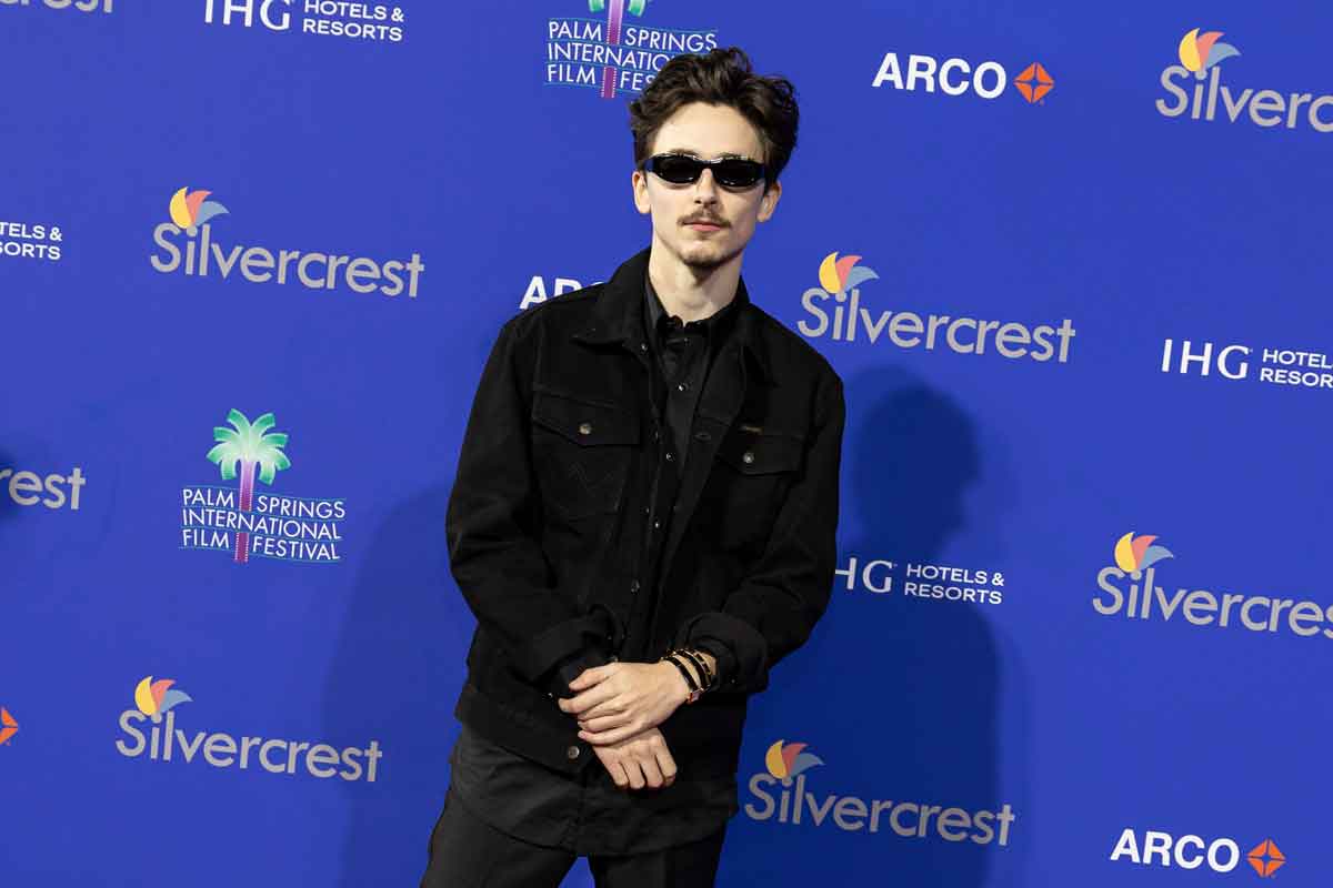 timothée chalamet 