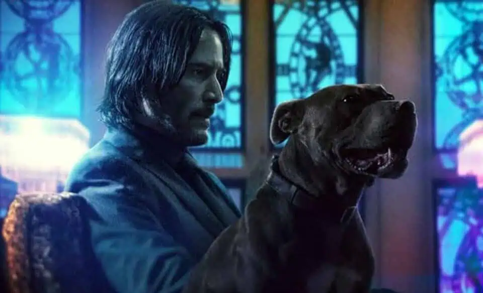 misterio de john wick 3