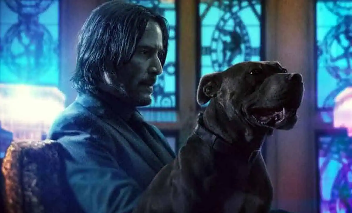 misterio de John Wick 3